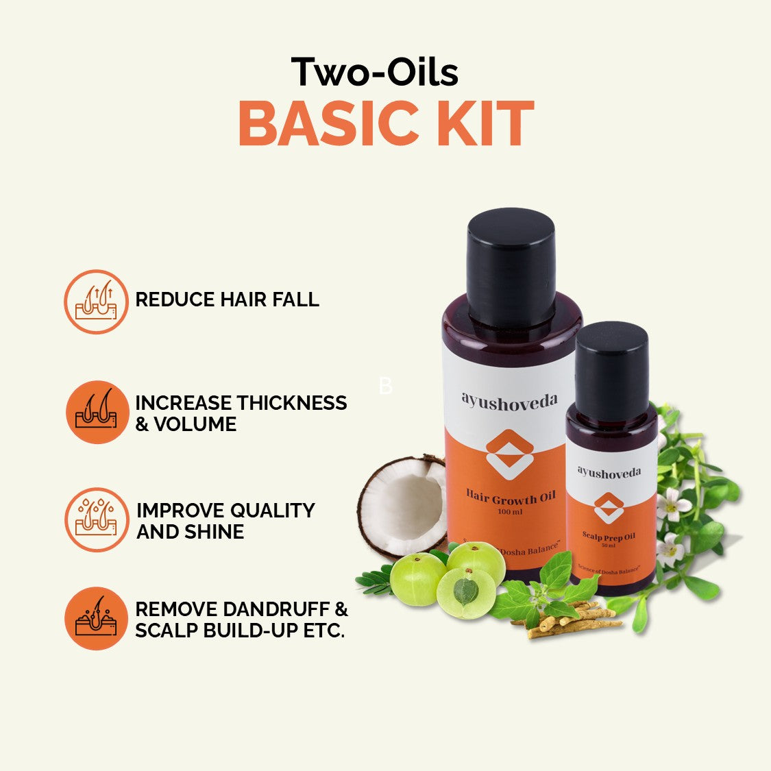 Basic Hair Care Kit | Two-Oils